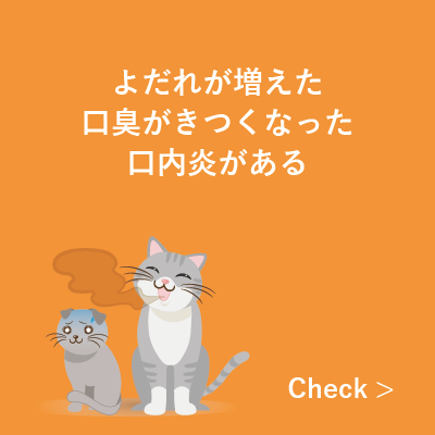 よだれが増える・口臭がきつくなる・口内炎がある｜佐倉市で評判多数の動物病院をお探しなら、若山動物病院。土曜日、日曜日も診察を行っております。犬猫が病気にならない未病の領域に特化した動物病院です。猫専用待合室もあり、猫にとってストレスの少ない動物病院としても有名です。