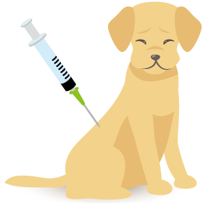 予防ワクチン・健康診断｜佐倉市で評判多数の動物病院をお探しなら、若山動物病院。土曜日、日曜日も診察を行っております。犬猫が病気にならない未病の領域に特化した動物病院です。猫専用待合室もあり、猫にとってストレスの少ない動物病院としても有名です。