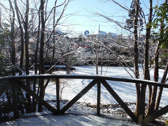 今年初の積雪！！