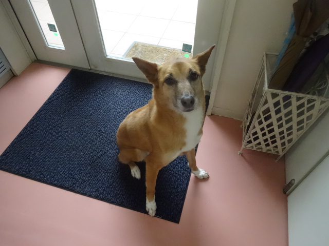 令和が始まりました