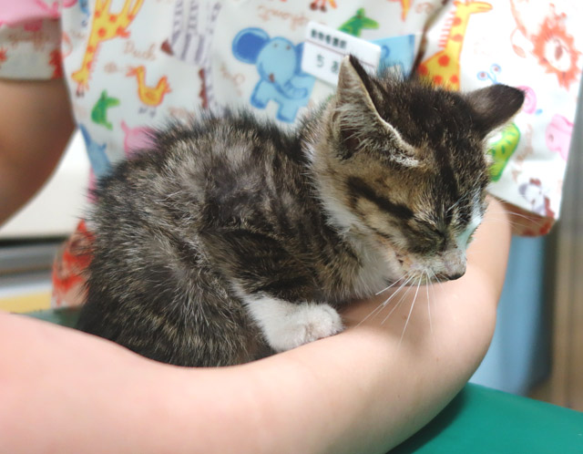 あれから３日後