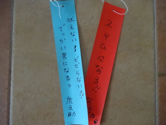 七夕と17日目の子猫ちゃん