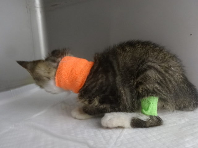 ついに！！対面！！！