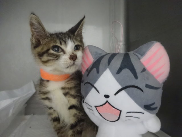 元気すぎます…