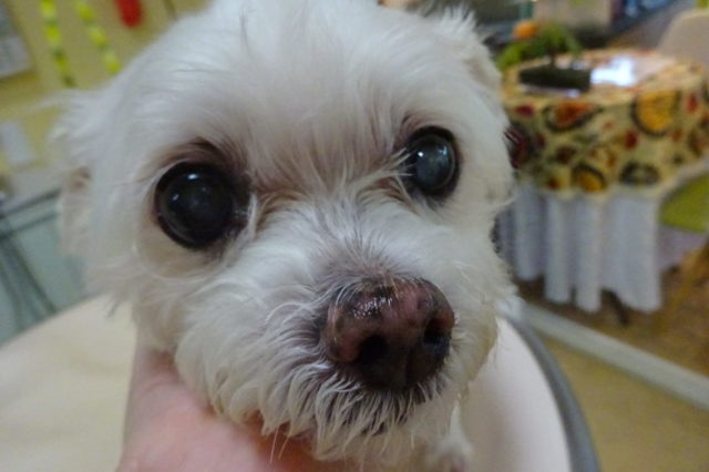 またまた登場！！