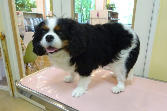 ジメジメの時期はいつもよりサッパリと！