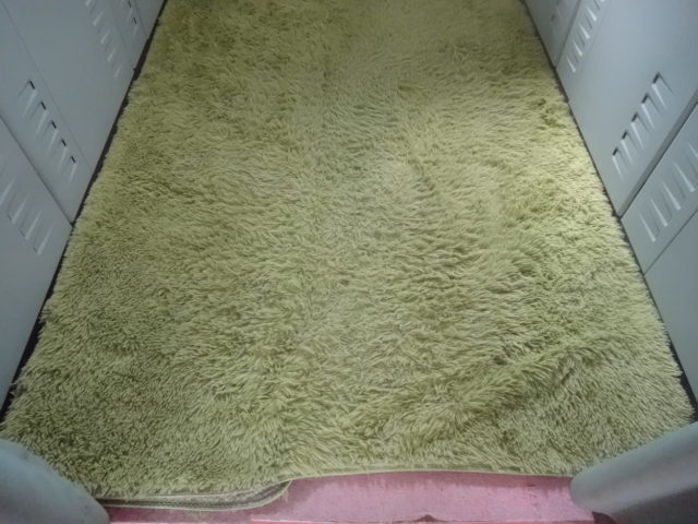 休診日の犬猫達