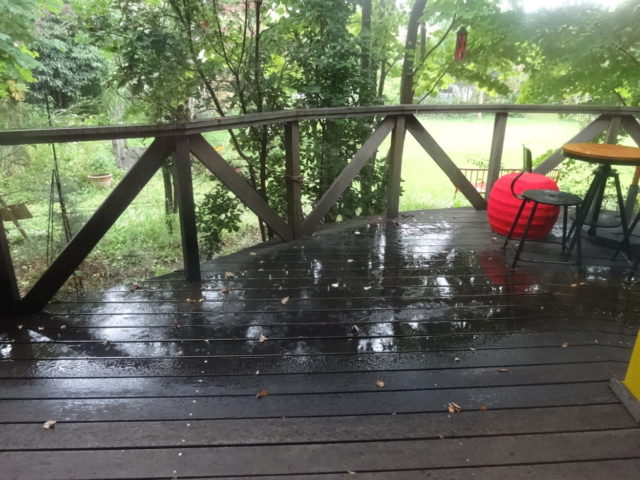 恵みの雨