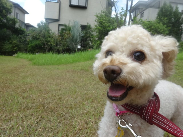 すっきり・・・？？