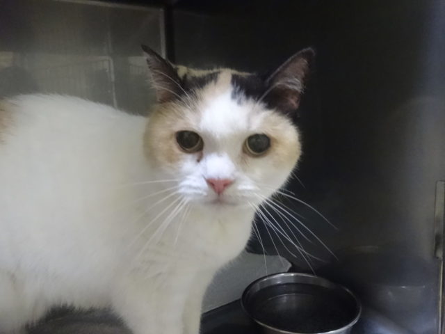 かくれんぼ＆久しぶりのシャンプー♡