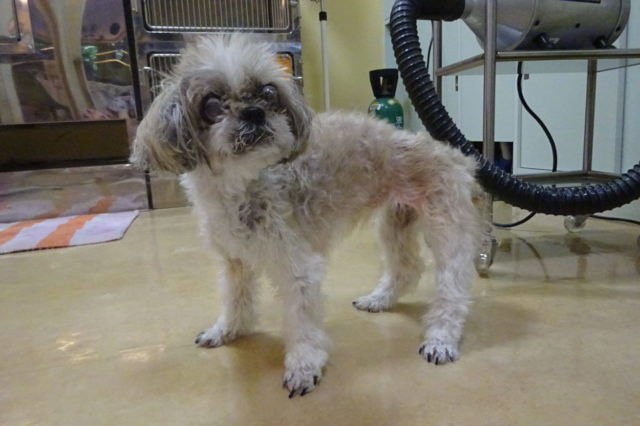 あと３ヶ月で１８歳！！