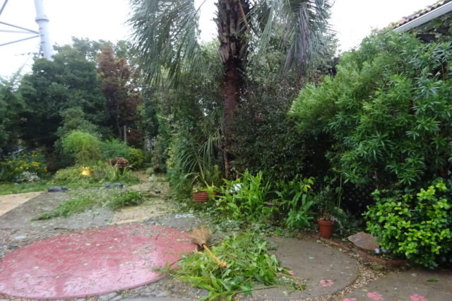 台風の爪痕