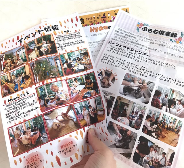 やってもうた・・・