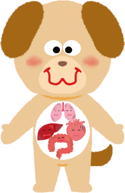 新しいPOPのために・・・