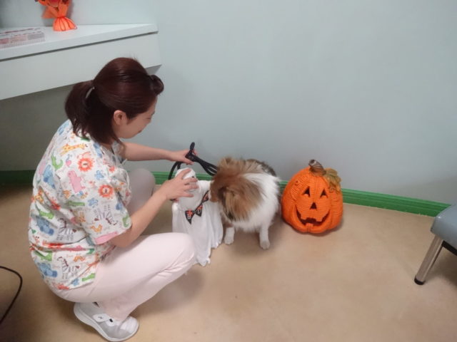 写真は難しい､､､