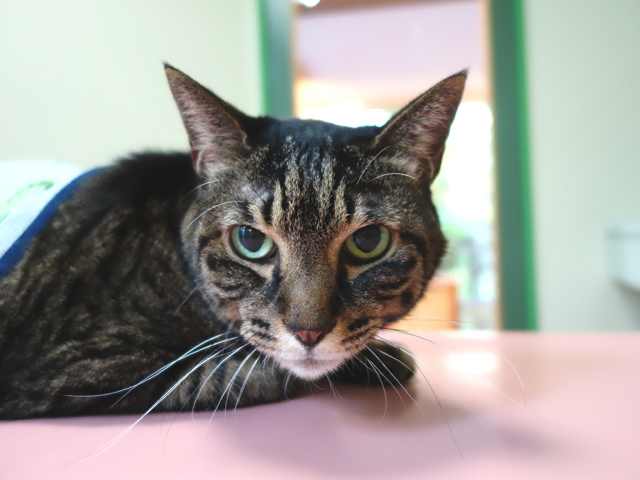 ぬくぬくと冷え