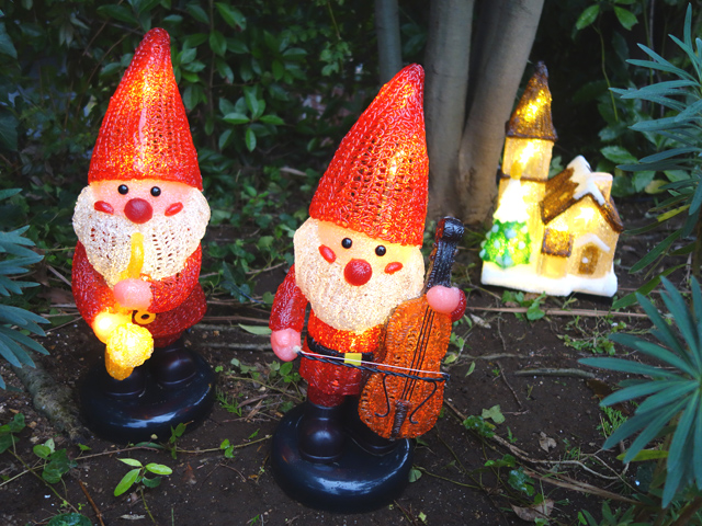 楽しみなこと､､､