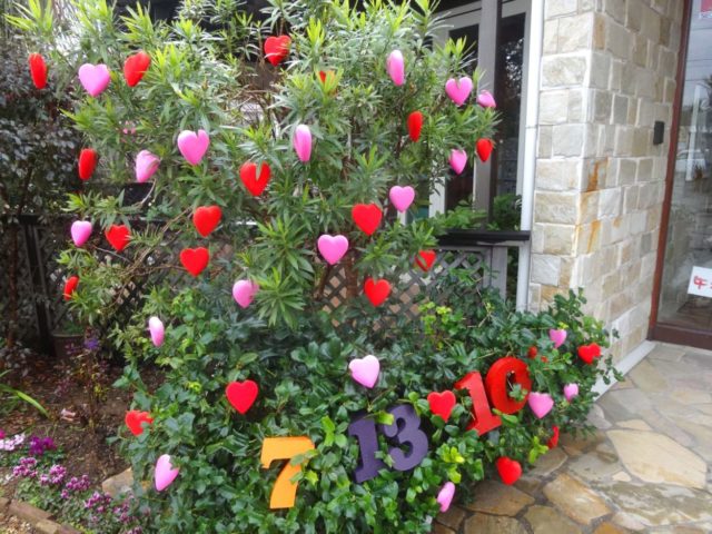 ハートのなる木？