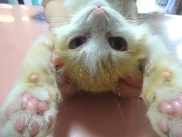 よくできました！