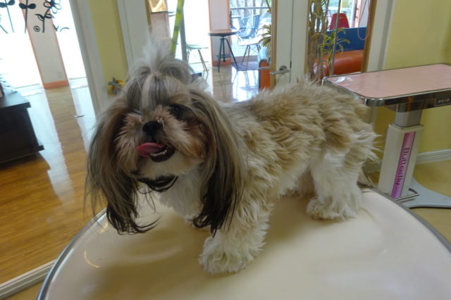 ロングヘアーなみりんちゃん♡