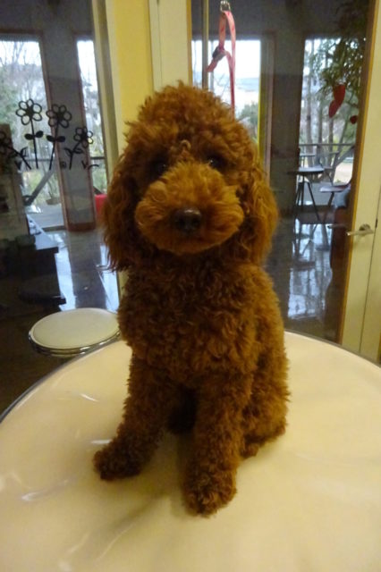 カットで変わる…