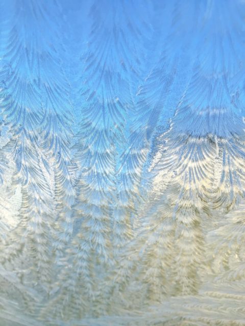 冷えていますね・・・。