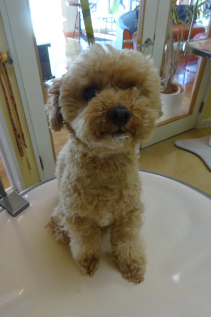 キレイキレイ♪