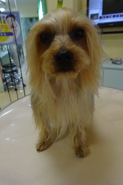 今日はどんな子達かな？