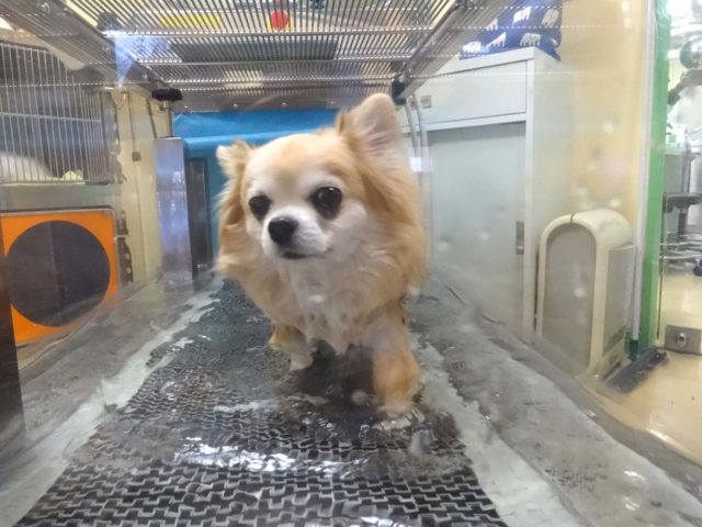 積み重ねの成果､､､