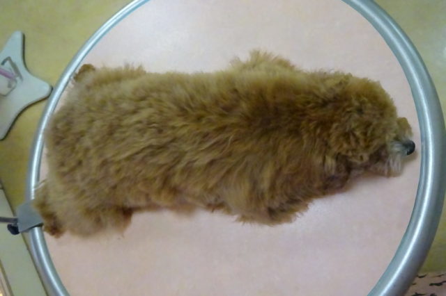 こんなところでzzz