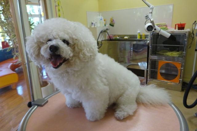 フワフワモコモコ（*^_^*）