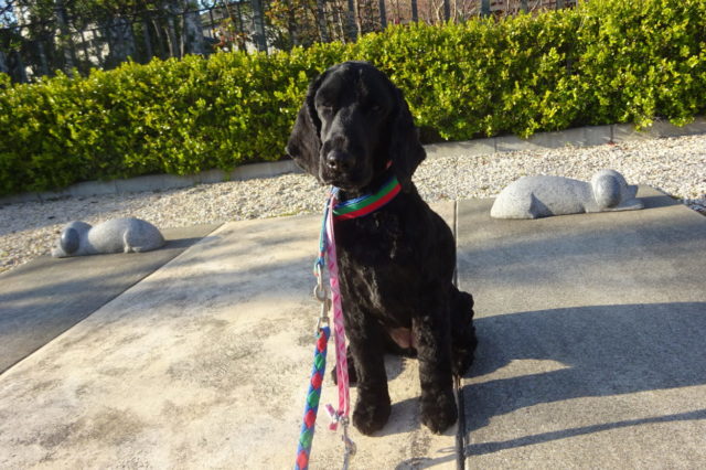 太陽嬉しいですね！