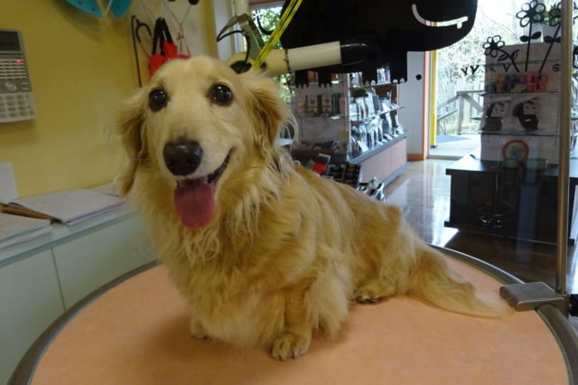 みんな可愛い♪