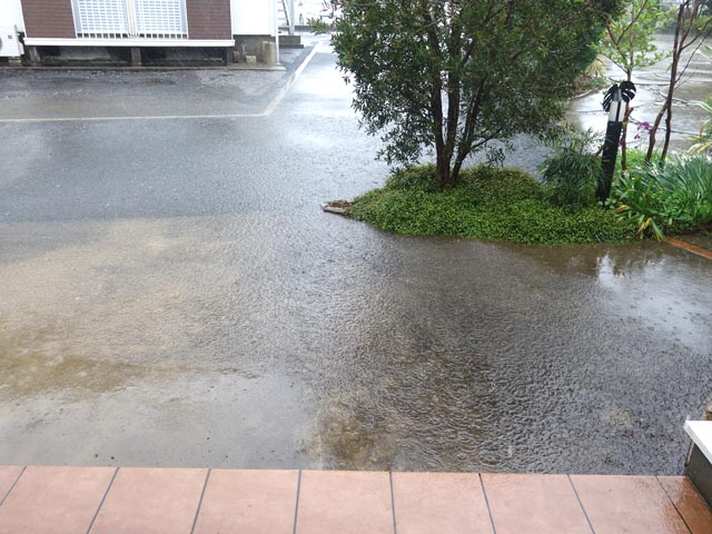 さりげなく…