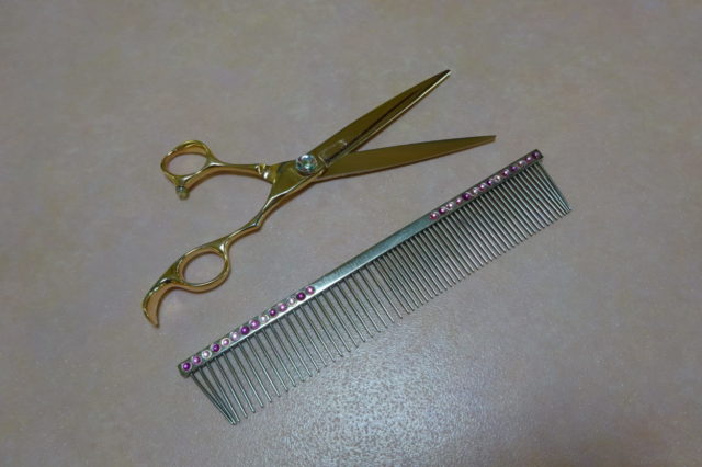 トリミングからのお知らせ