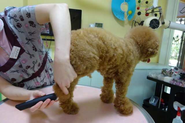 ちょっと為になるお家ケア　足裏カット編