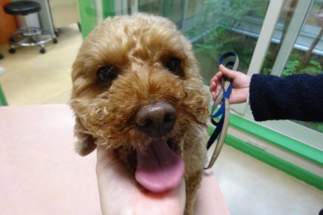 すごく嬉しいヽ(^o^)丿