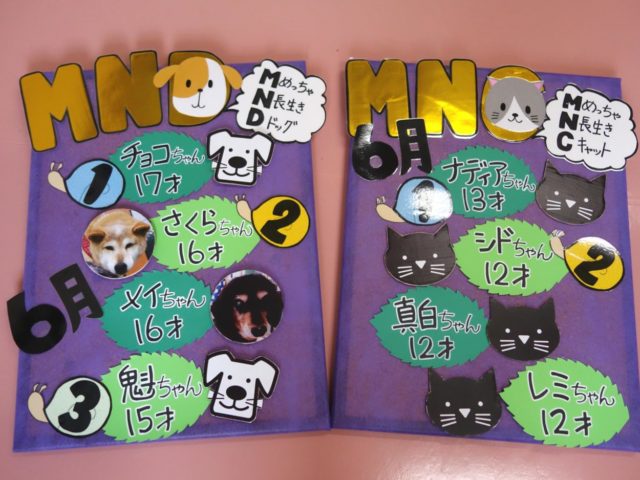 ５月終わり！