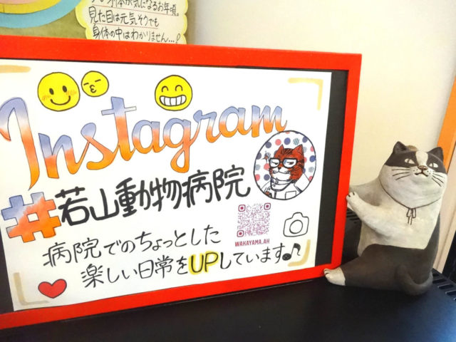インスタグラムやってます！