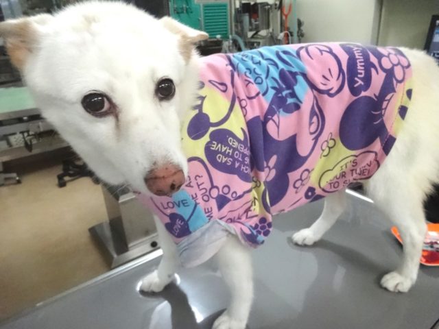練習♪