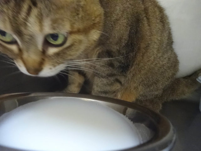 水分補給♪