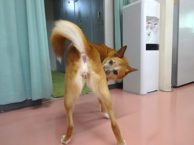 チャームポイント♪