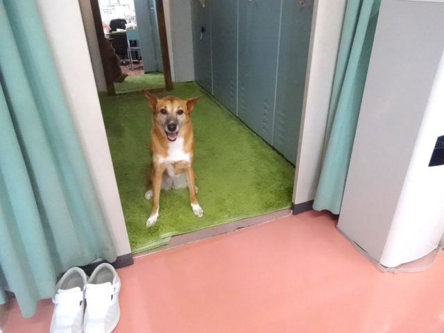 ポツン､､､