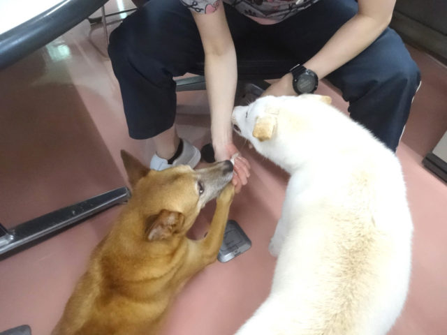 できるもんっ！
