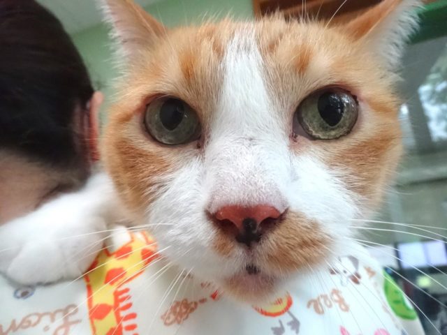 年に一回の､､､