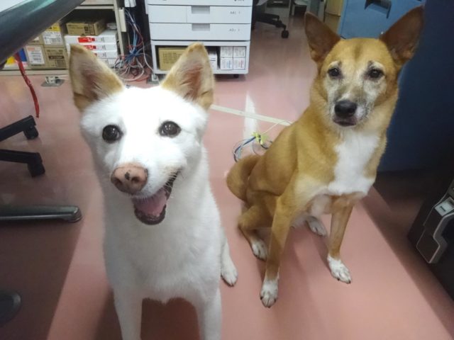 抜けてるよ～☆