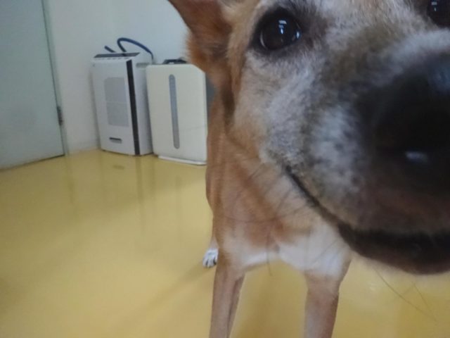 あまえ上手♪