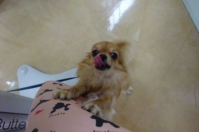 工夫しています（＾－＾）