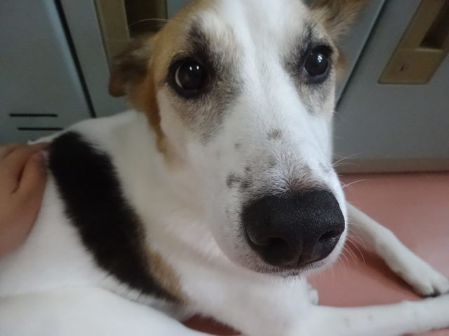今から何の日～？？