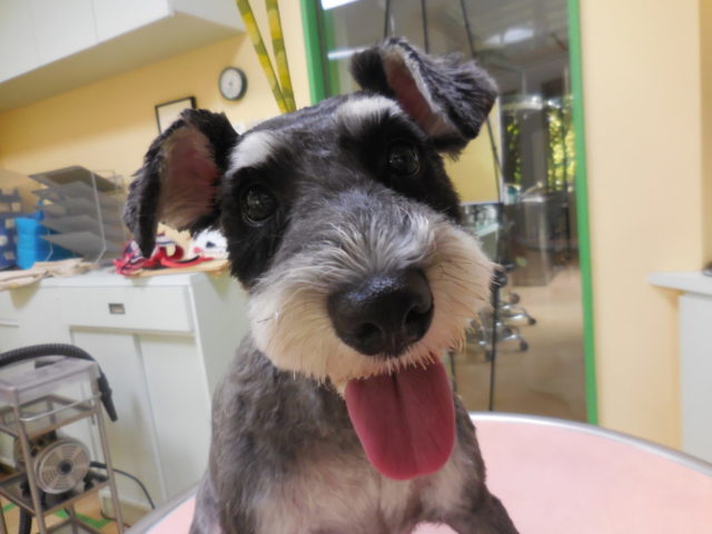 笑顔☆